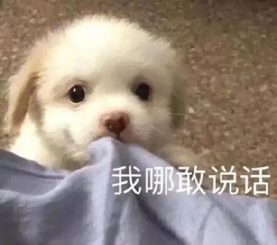 搞怪逗比表情包