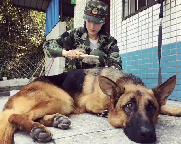 节目中,身为教官的何捷,对张馨予格外关心,不能说暗送秋波,但也算是