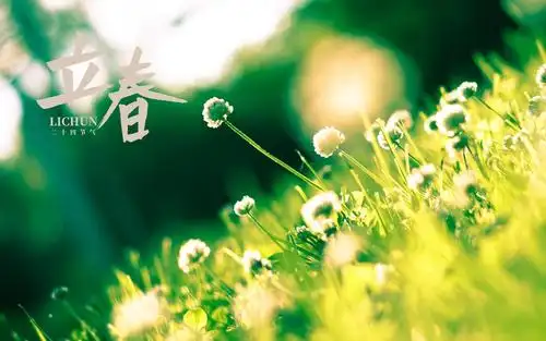 立春时节小清新文艺风背景图