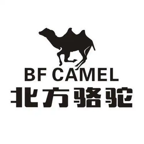 em>北方 /em> em>骆驼 /em> bf camel