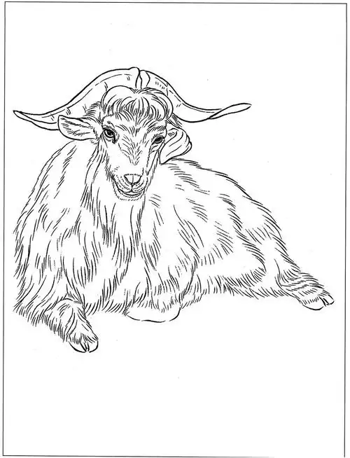 18幅羊的高清白描线稿图片(附原稿图片)