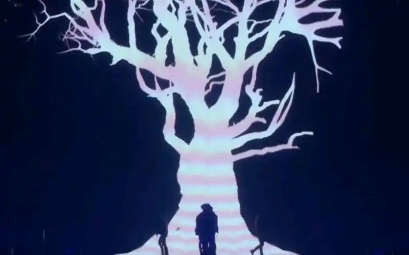 exo狼与美女wolf reaction| 致我们永不凋谢的生命之树