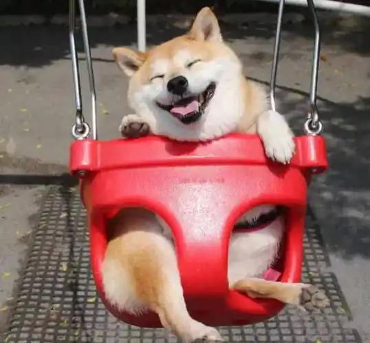 逗比又沙雕的搞笑文案,吃饭的时候别看,小心喷了 - 哈哈哈哈_侵权