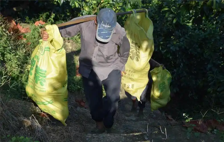 靠挑扁担日赚300元, 比种庄稼强多了