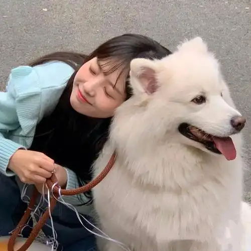 对象不是人系列情头