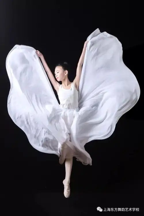 舞韵风采舞动生命找寻灵魂深处的芳华