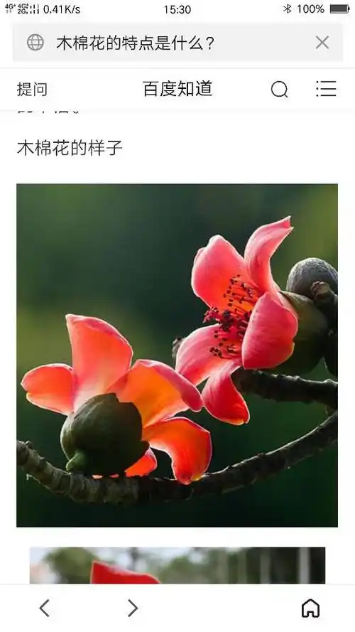 展开全部 木棉花的花语:珍惜身边的人,珍惜身边的幸福.