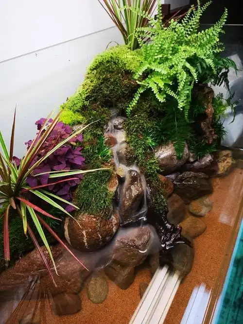 家中草缸改水陆卵石溪流景