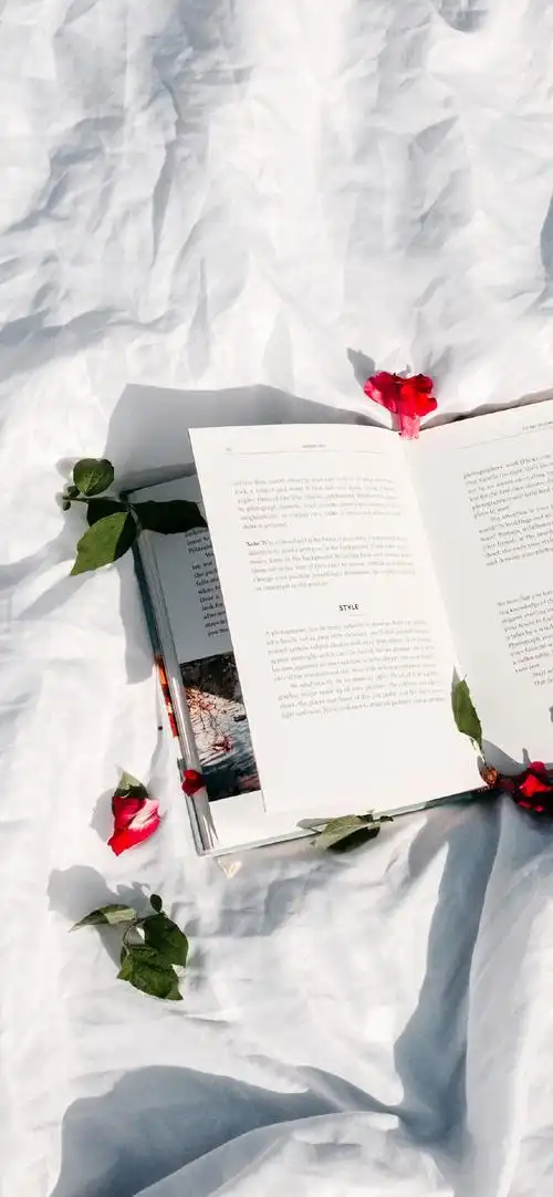 文艺小清新生活随拍高清手机壁纸