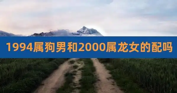 1994属狗男和2000属龙女的配吗