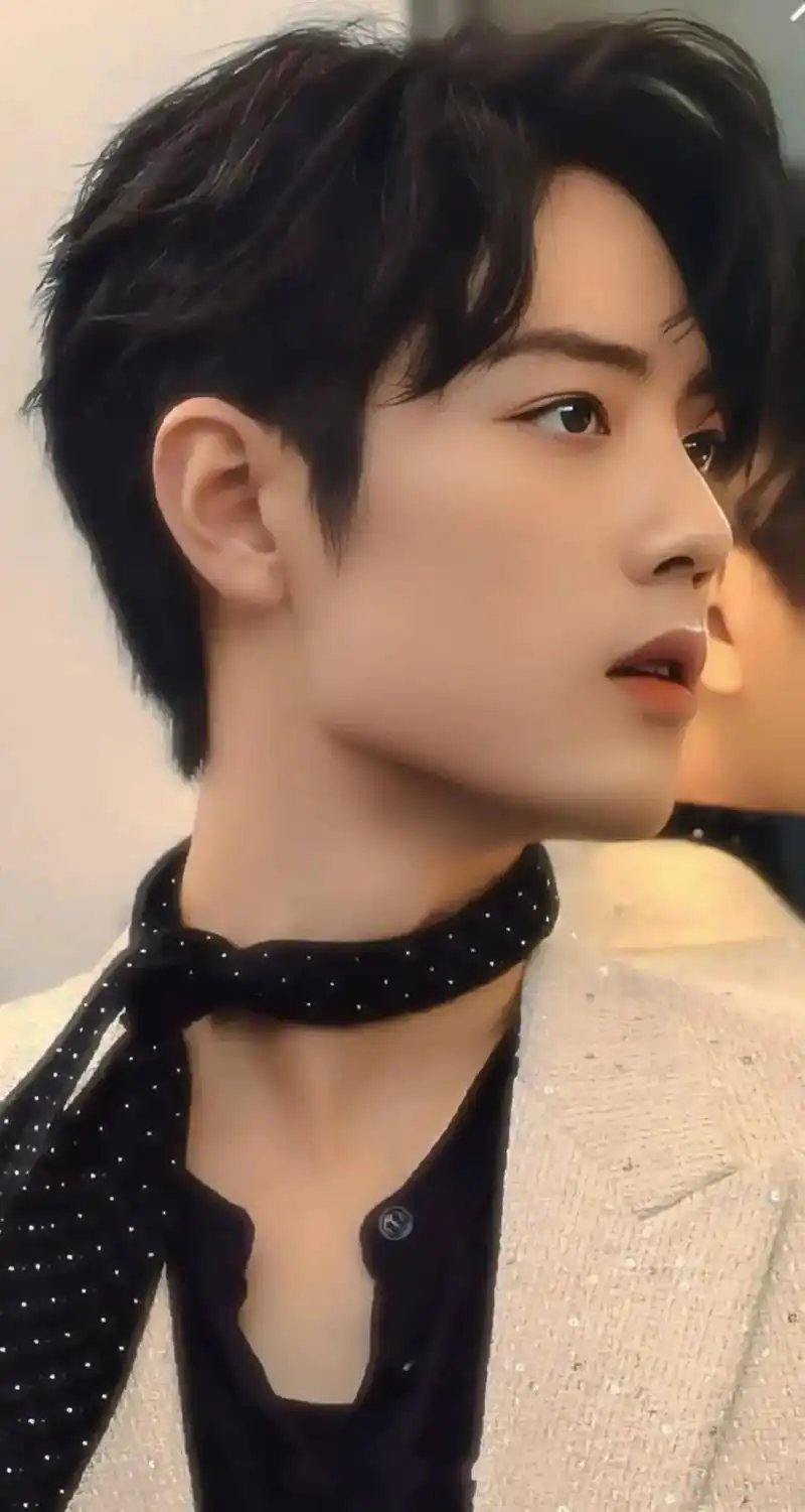 一人一张哥哥的照片#肖战 #完美侧颜杀 #向全世界安利肖战 - 抖音