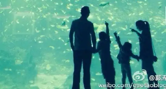 儿女双全的赞美句子赞美儿女双全的诗句