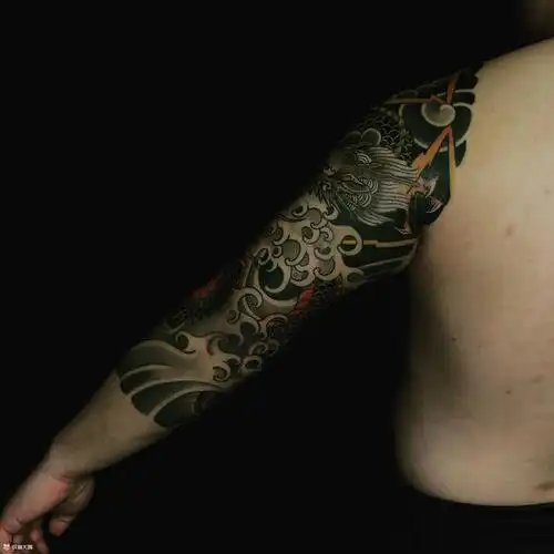 十个回合完工半甲花臂龙