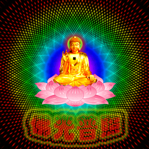 500_500gif 动态图 动图