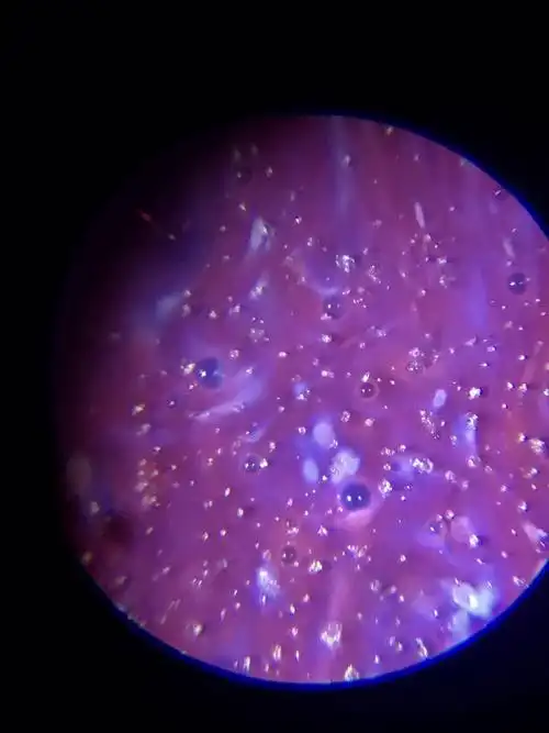 宋代钧窑玫瑰紫釉鼓钉洗,垫圈支烧,垫圈还在,器外部两圈乳钉纹,三兽面