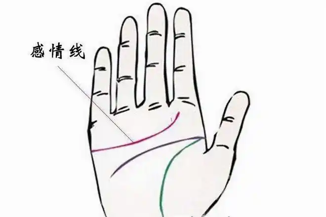 古人通过观察大量的手相,发现了一个规律,绝大多数人手掌的金星带,是