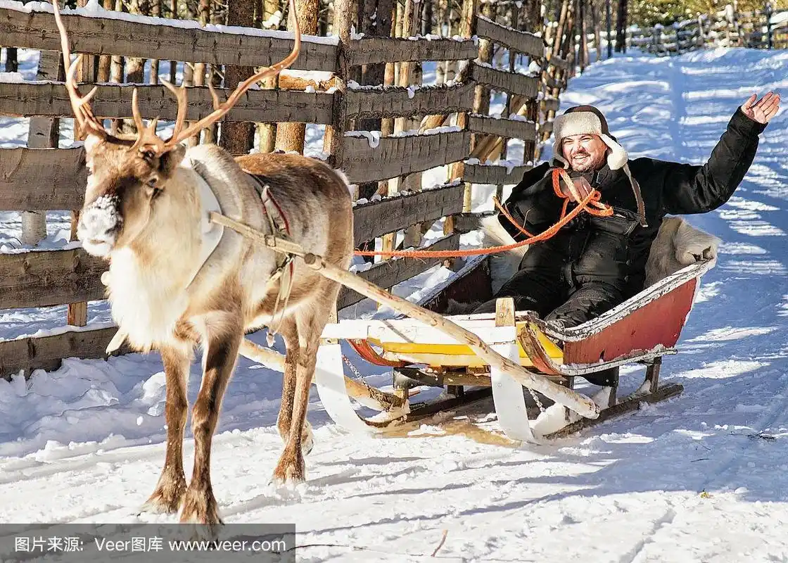 在罗瓦涅米,人们坐在驯鹿雪橇上