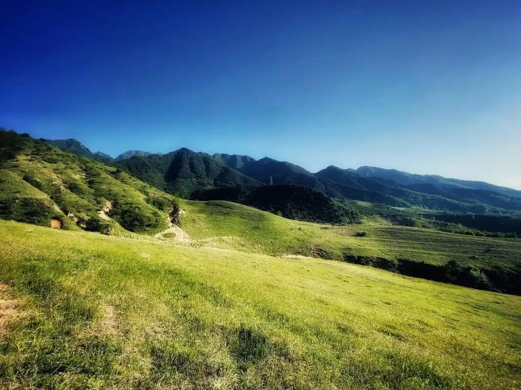 西安距离最近的高山草甸.地址位于蓝田县山胡村,导航西安出发  - 抖音