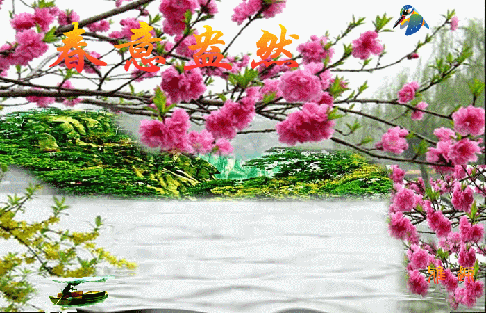 700_450gif 动态图 动图