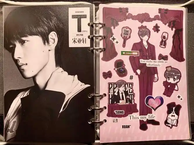 手帐  #给你看看我的手帐吧  #追星手帐#宋亚轩