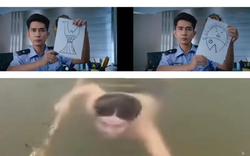 报…报告!邓超找的那条美人鱼我可能看到了……