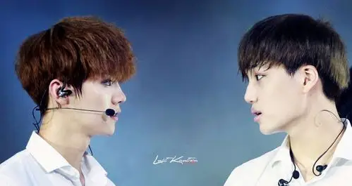 鹿晗 金钟仁 kai 开鹿