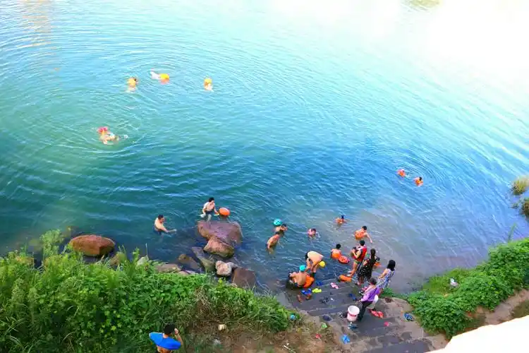 这些健将在河里游泳.