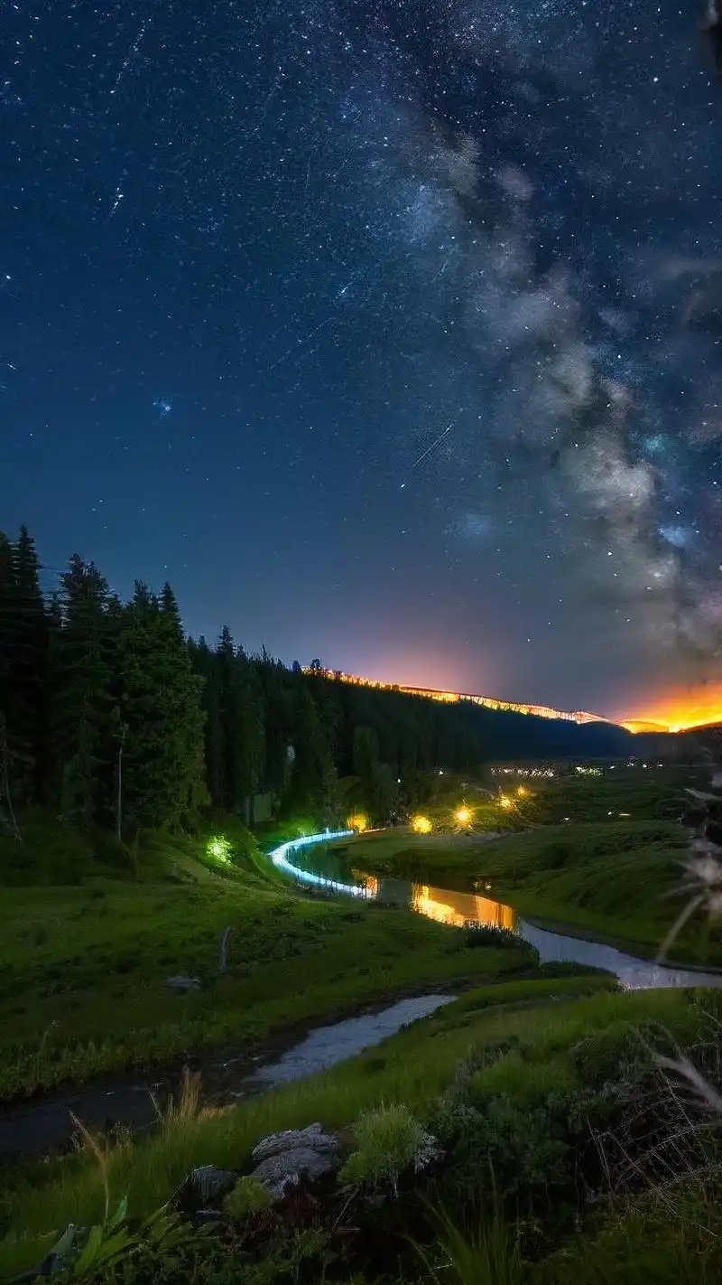 91养眼绿色竖屏壁纸,高清来袭!95