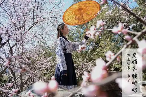 改良汉服古风交领清新淡雅齐胸襦裙