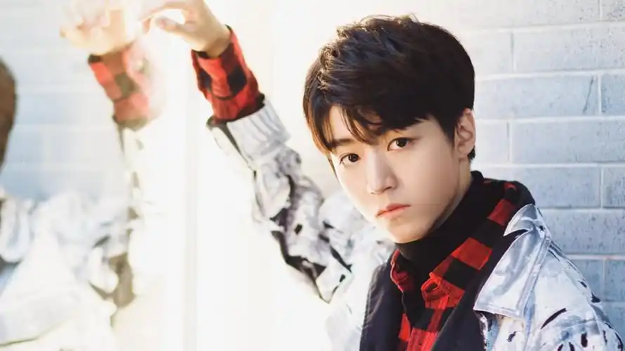 内地明星 王俊凯 tfboys 明星风尚壁纸【5】