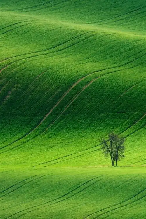 首页 自然与风景 春天