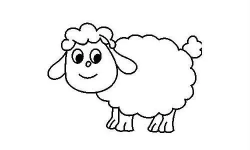 教你画一只绵羊简笔画的画法步骤