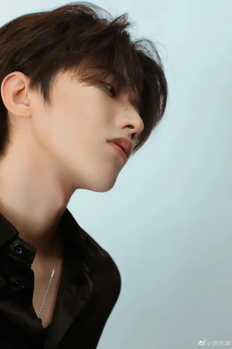 蔡徐坤 #蔡徐坤侧颜 这大鲨四方的脸 #一眼沦陷 - 抖音