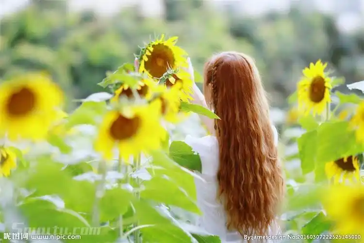 唯美清新文艺范长发女生女孩背影图片大全