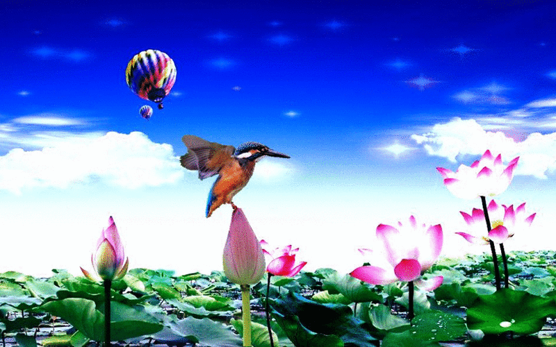 1024_640gif 动态图 动图