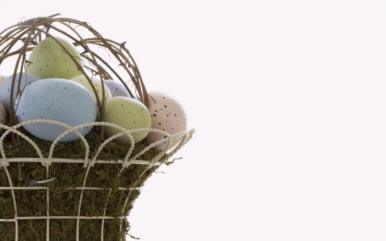 彩蛋桌面电脑壁纸之五彩漂亮图片高清大图预览2560x1600_设计创意下载