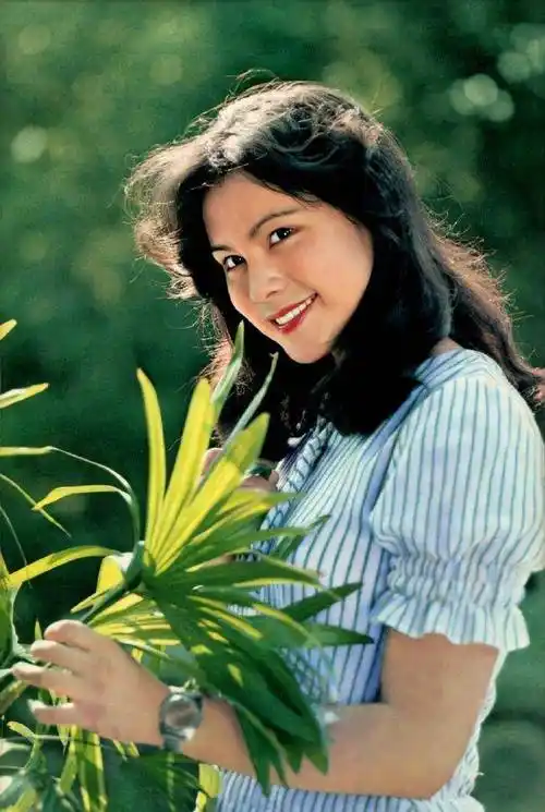 原创80年代美女明星一个时代的记忆您还记得她们吗