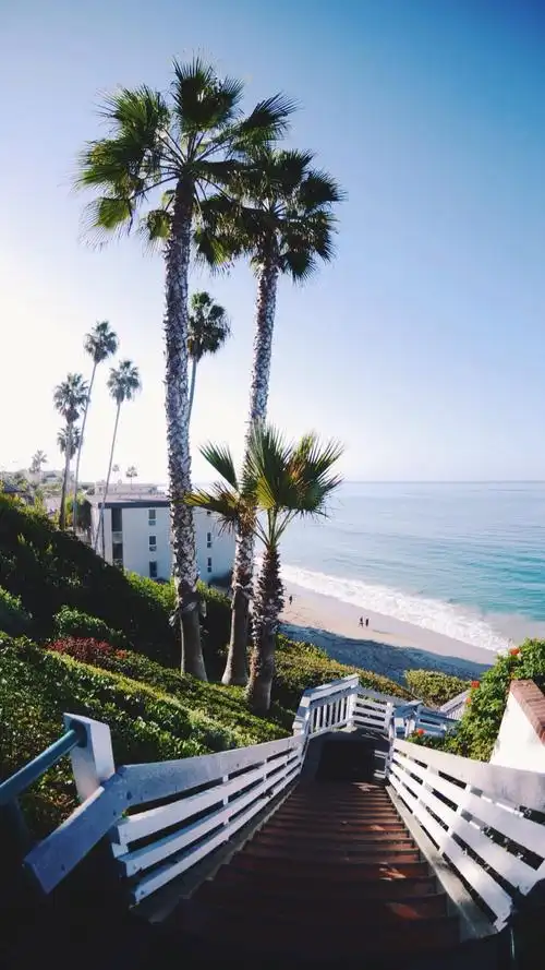 码图码上瘾了……高清壁纸无水印