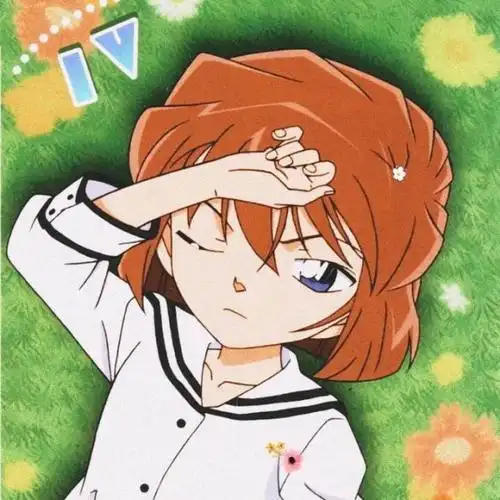 名侦探柯南灰原哀图集