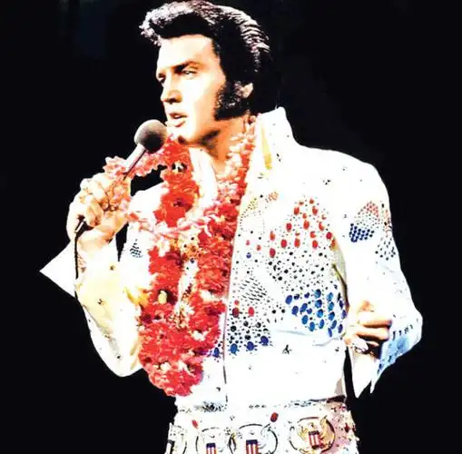 摇滚歌手"猫王"启发了这个系列的灵感,他的经典摇滚乐风和炫耀造型