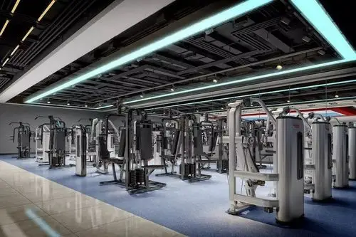 国际化标准的无氧器械区