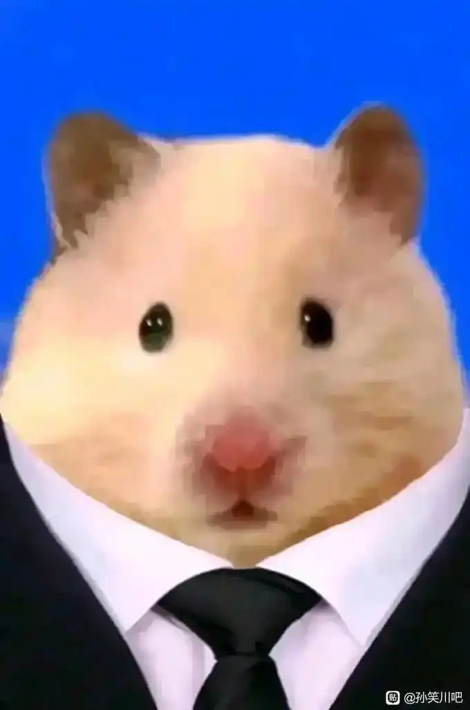 可爱的鼠鼠头像.##表情包 #这谁顶得住啊 #萌宠出道计划  - 抖音