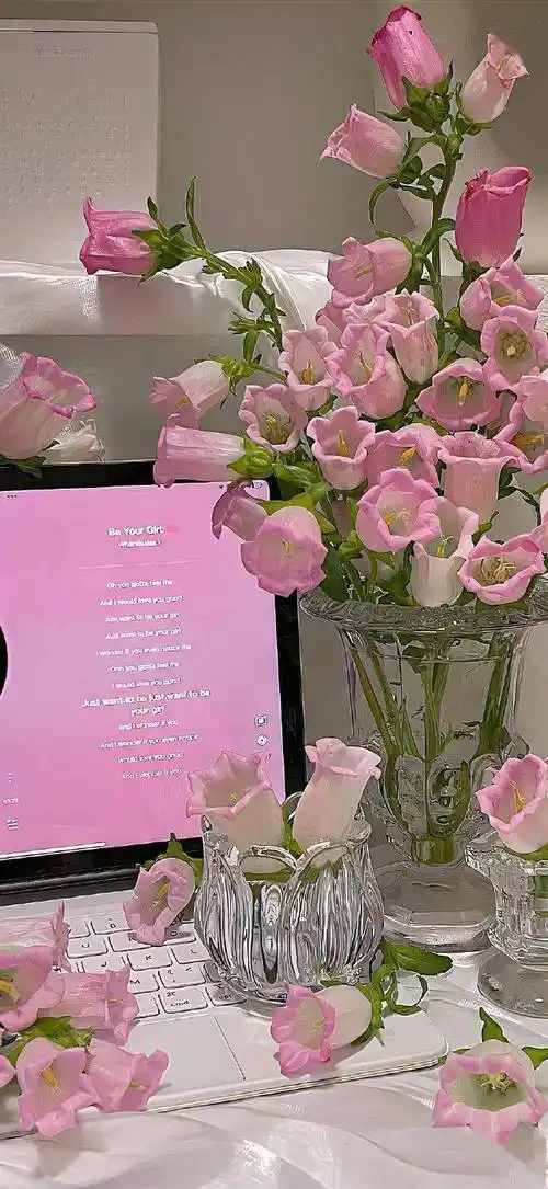 壁纸|高清ins高级质感壁纸