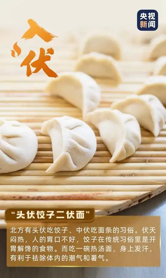 北方向来有"头伏饺子二伏面的说法",今天别忘了吃饺子!