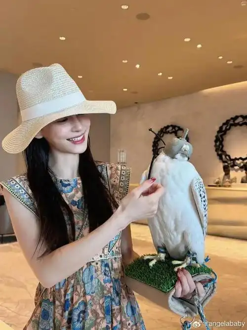 宝宝节日快乐!|杨颖_网易订阅