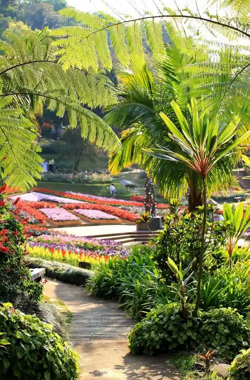 皇太后行宫后花园-泰国清莱