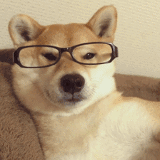 狗子推眼镜动图眼镜狗子动图表情