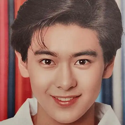 林志颖金城武单论颜值巅峰谁更高?