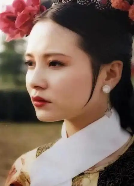 雍正王朝最美女演员(雍正十二美人)_手工miao