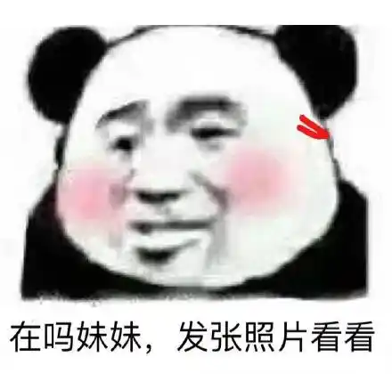 在吗妹妹,发张照片看看 熊猫头撩妹表情包_撩妹_发张_熊猫_照片表情